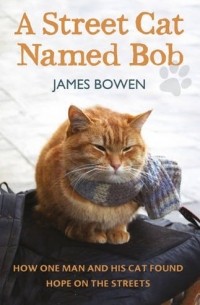 James Bowen - A Street Cat Named Bob